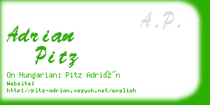 adrian pitz business card